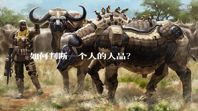 如何判断一个人的人品？