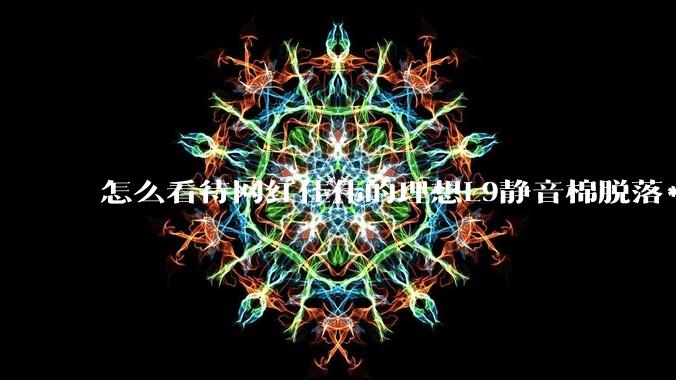 怎么看待网红佳伟的理想L9静音棉脱落***?
