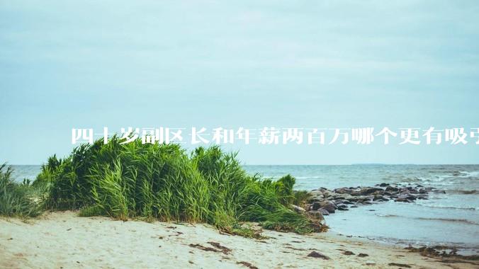 四十岁副区长和年薪两百万哪个更有吸引力？