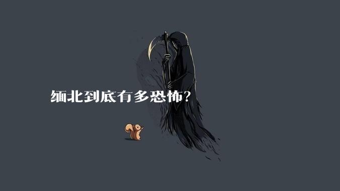 缅北到底有多恐怖？